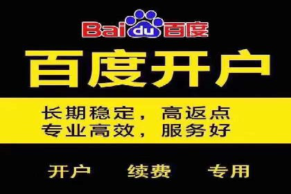 竞价SEM策略在金融行业的成功实践